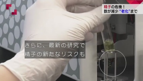精子の数