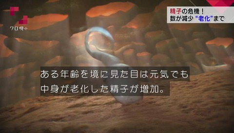 精子の老化