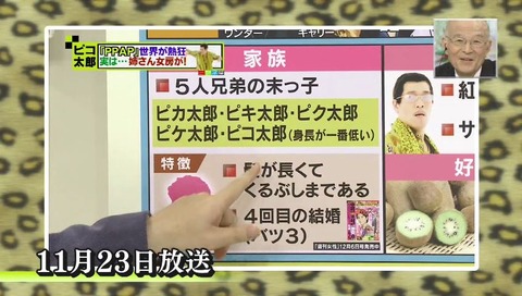 ピコ太郎 設定