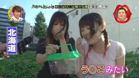 北海道 ゴキブリ 平気 感動 (70)