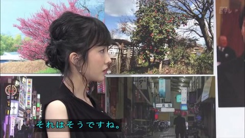 「植物に学ぶ生存戦略2」ウメの生存戦略