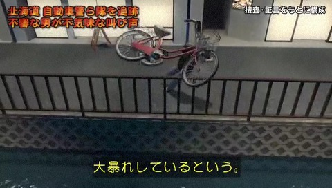 列島警察捜査網THE追跡 自転車蹴り倒し男 CG まるでスト2の動き