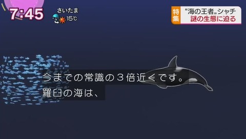 シャチは水深264メートルが報告の記録だったが736メートルだった
