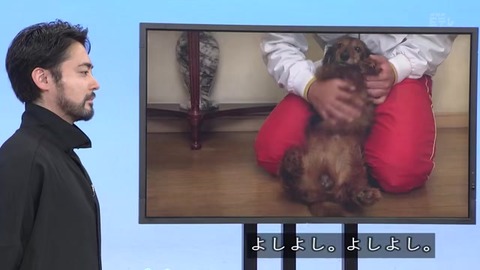 オオイヌノフグリ の名前の由来