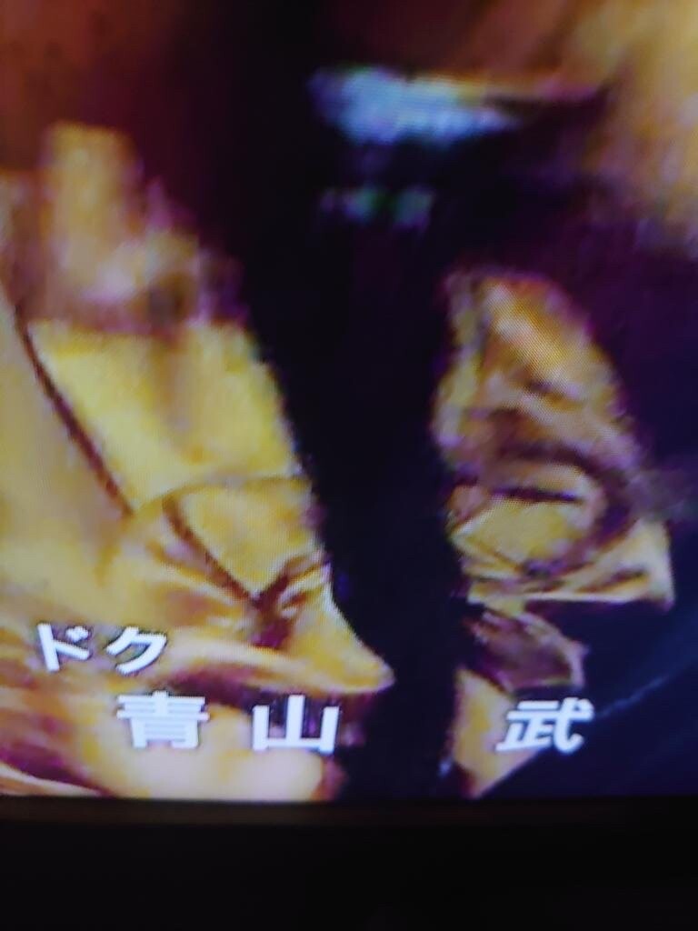 悲報 金曜ロードショーbttf 青野武 を 青山武 と誤って記載する その日盛り上がったch 悲報 金曜ロードショーbttf 青野武 を 青山武 と誤って記載する その日盛り上がったch