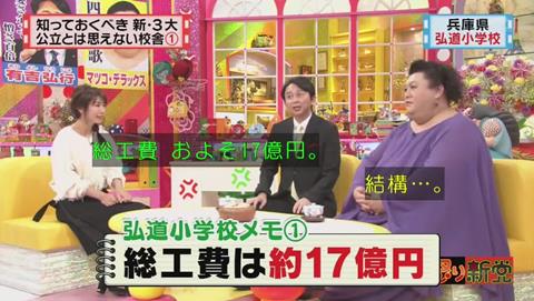 兵庫県 豊岡市立 弘道小学校の費用