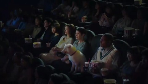 映画「君の名は。」地上波2回目 ソフトバンク社 おとうさん犬「天気の子コラボ」CM