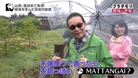 ブラタモリ 富士の樹海 第二回