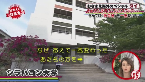 NHK「日本人のおなまえっ！」画像