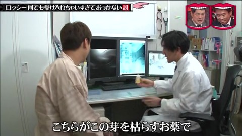発芽したスイカの種を枯らす薬