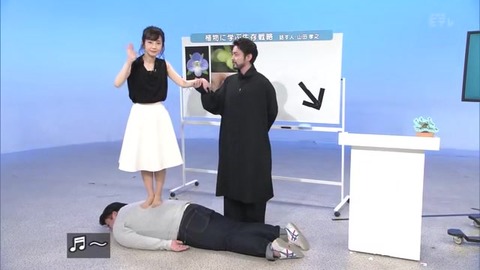 「植物に学ぶ生存戦略2」オオイヌノフグリ