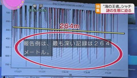 シャチは水深264メートルが報告の記録だったが736メートルだった