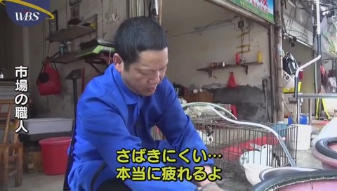 自動どじょう捌きマシン