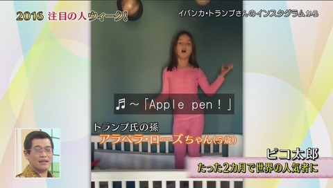 ピコ太郎 徹子の部屋
