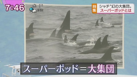 スーパーポッド