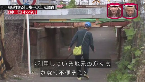 「日本一低いトンネル」 大阪市 田川北
