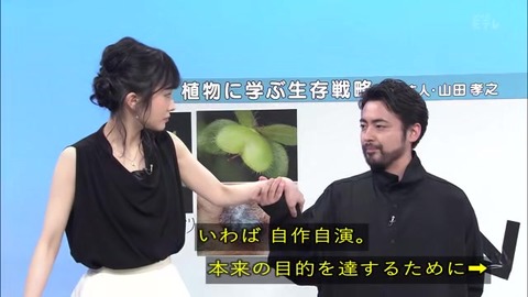 オオイヌノフグリ 構造