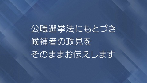 NHK 都知事政見放送 候補者 山本太郎 ごとうてるき 西本誠 七海ひろこ