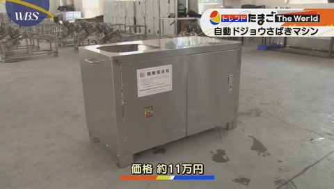 自動どじょう捌きマシン