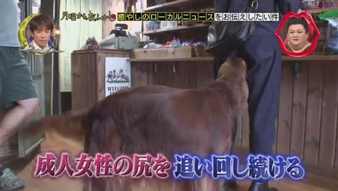 月曜から夜ふかし 女性客 ヴィッツ君