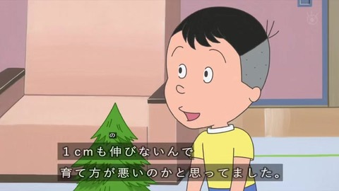 サザエさん「プレゼントの育て方」堀川くん「育て方が悪いのかと思った」