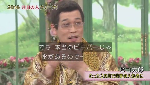 ピコ太郎 徹子の部屋
