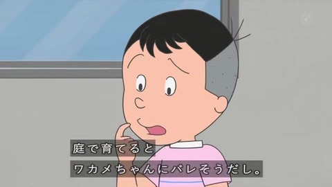 サザエさん「プレゼントの育て方」監視社会