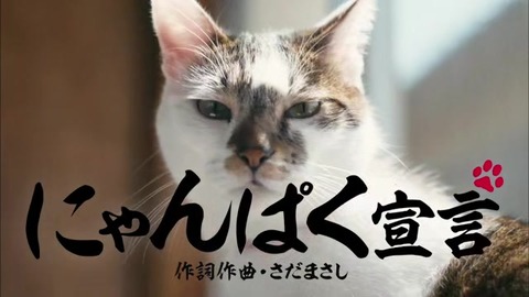 公共広告機構のCM にゃんぱく宣言