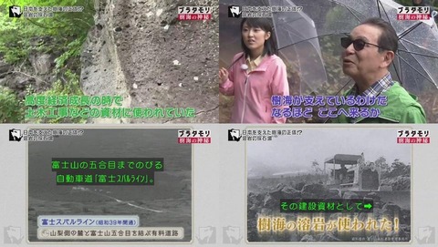 ブラタモリ 富士の樹海 第二回