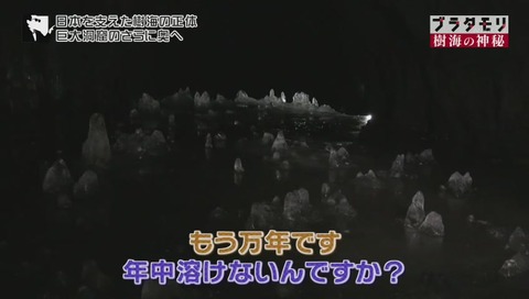 ブラタモリ 富士の樹海 第二回