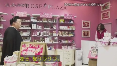 新有楽町ビル ローズプラザ