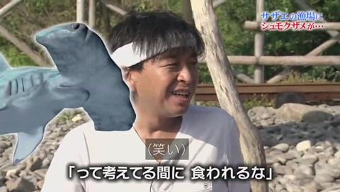 鉄腕DASH サメが出現