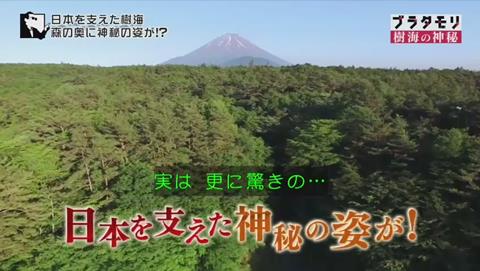 ブラタモリ 富士の樹海 第二回 風穴