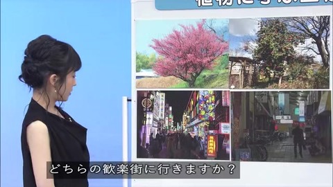 「植物に学ぶ生存戦略2」ウメの生存戦略 たとえ話