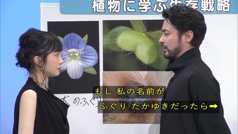 ふぐりたかゆき