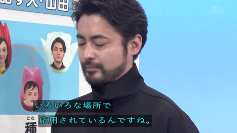 「植物に学ぶ生存戦略2」チューリップ