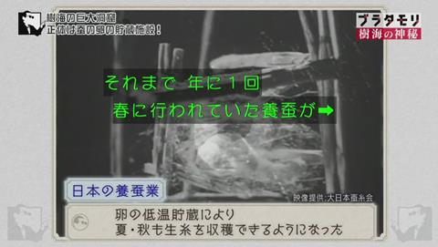ブラタモリ 富士の樹海 第二回