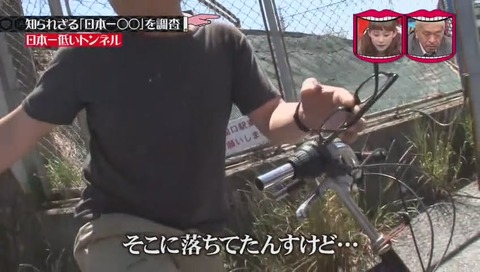 「日本一低いトンネル」眼鏡の落し物が多い