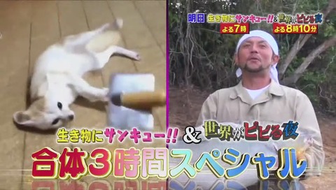 ドラマ『あなたのことはそれほど』最終回10話 ラスト