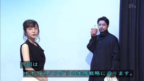 「植物に学ぶ生存戦略2」オオイヌノフグリ