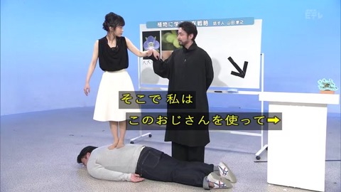 オオイヌノフグリ 構造