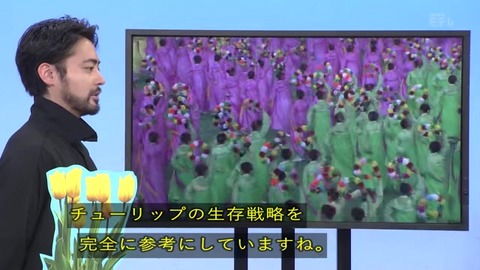 「植物に学ぶ生存戦略2」北朝鮮の人たち