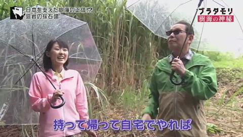 ブラタモリ 富士の樹海 第二回