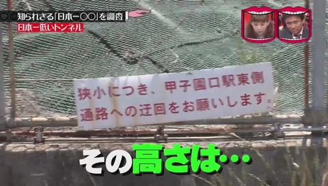「日本一低いトンネル」 兵庫県 西宮市 甲子園