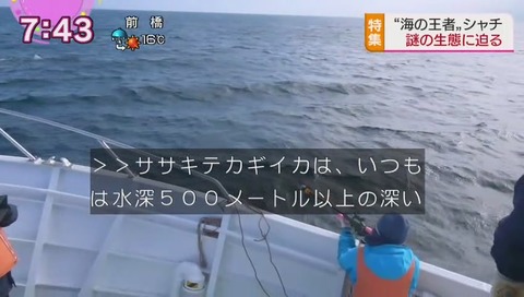 シャチが水深500mのイカを食べた