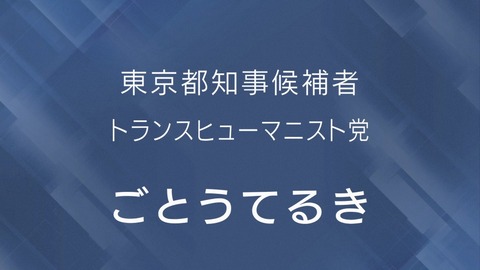 NHK 都知事政見放送 ごとうてるき