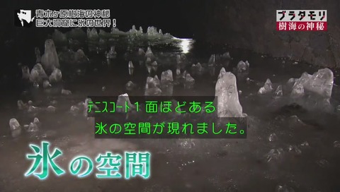 ブラタモリ 富士の樹海 第二回