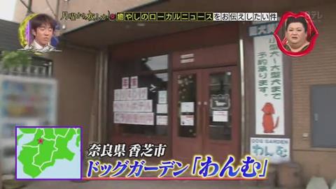月曜から夜ふかし 奈良県 香芝市 ドッグガーデン わんむ