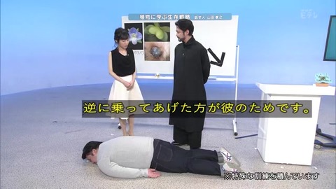 「植物に学ぶ生存戦略2」オオイヌノフグリ
