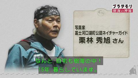 ブラタモリ 富士の樹海 第二回 ネイチャーガイド栗林さん